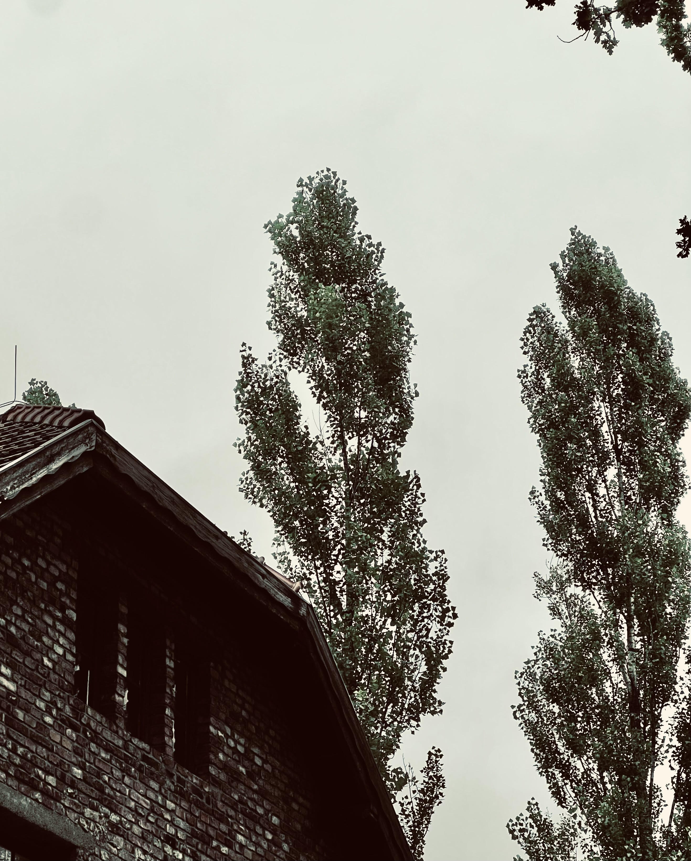 Custom Website Mockup