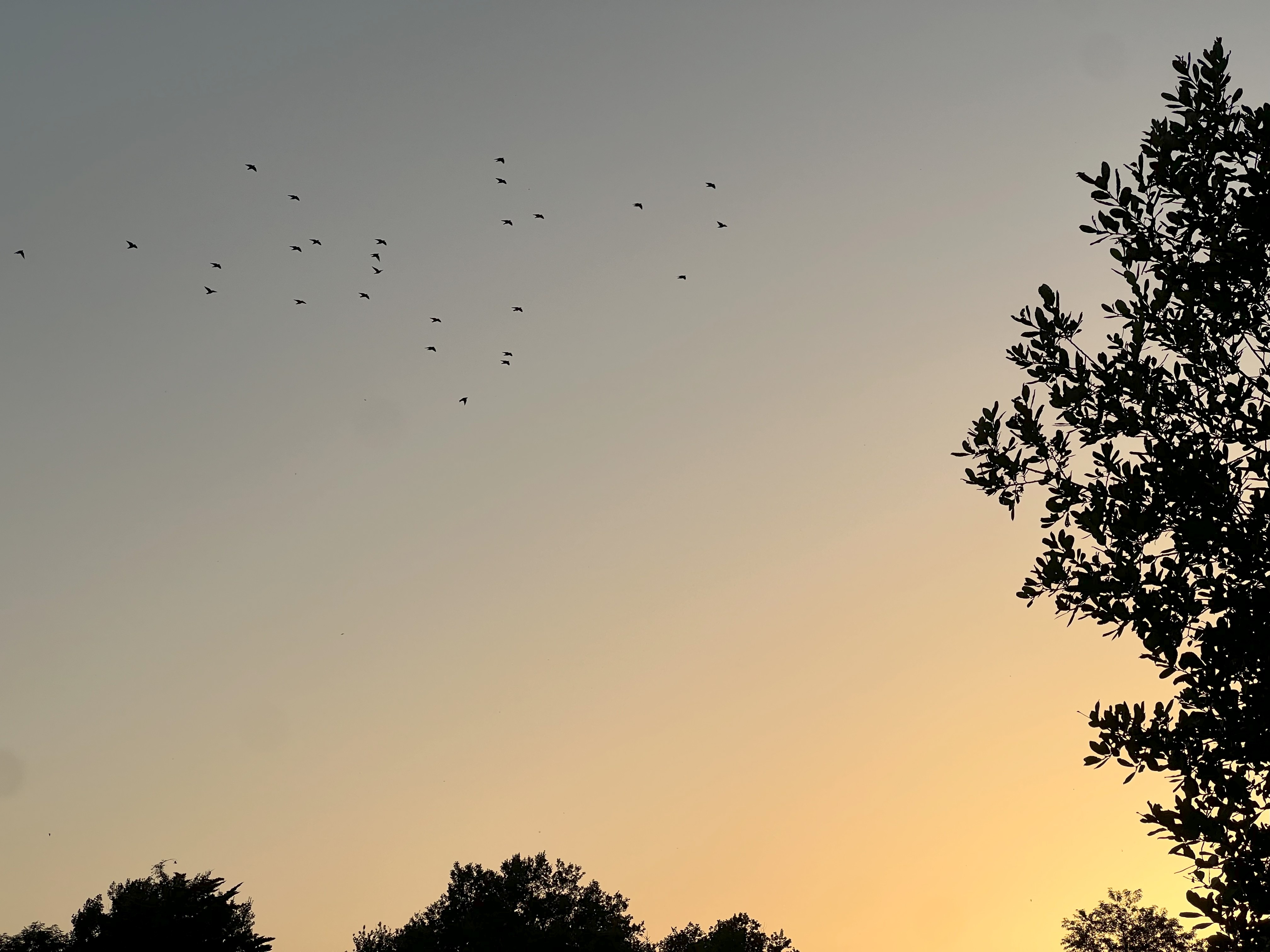 Sunset creative theme