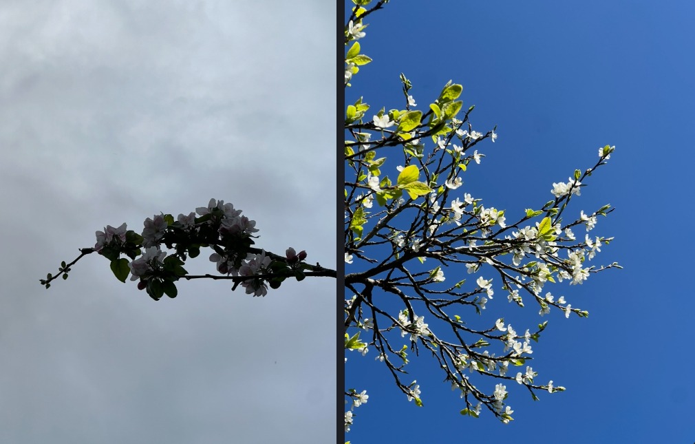 Custom Website Example