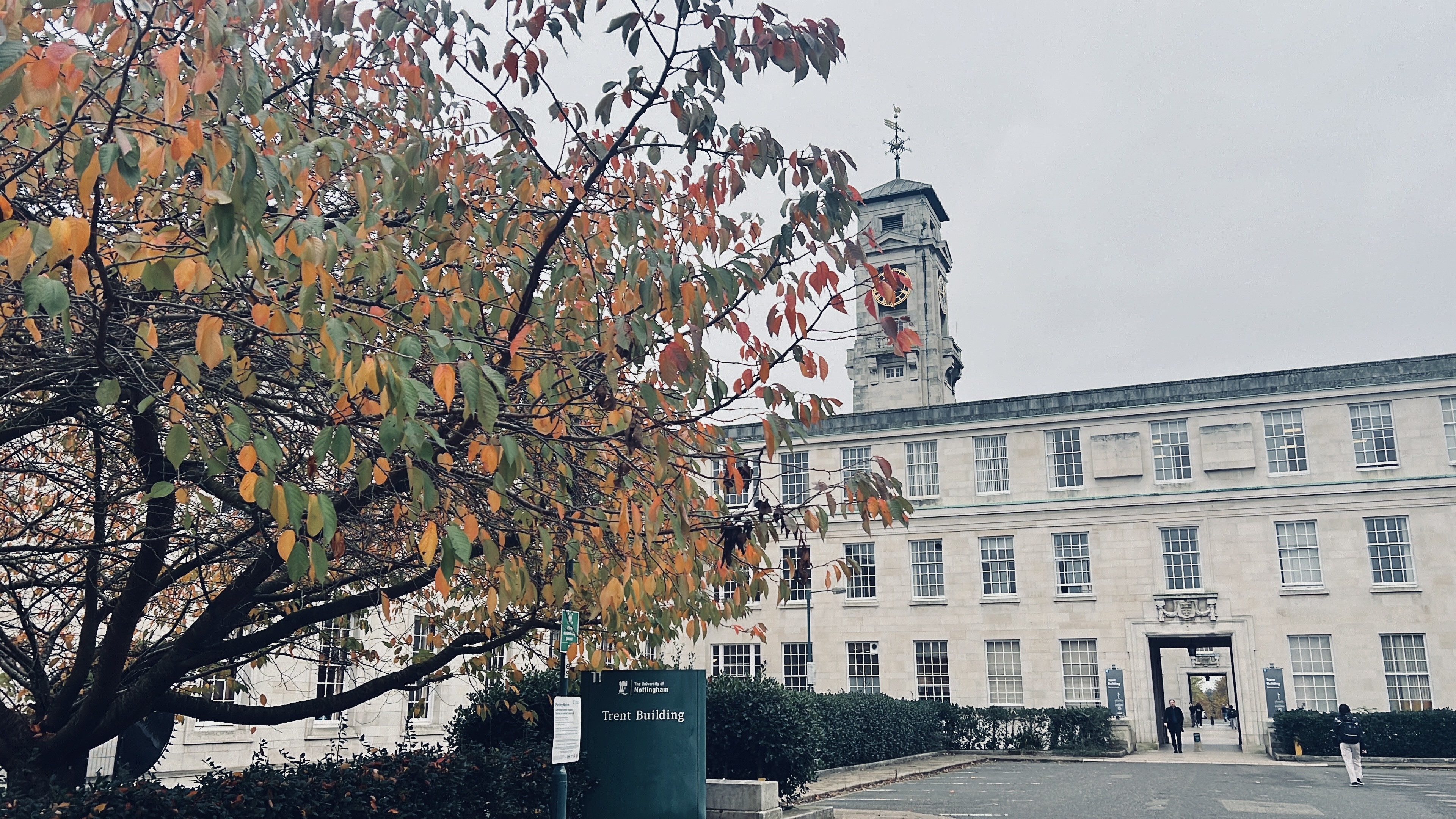 Dhilan — Web Developer